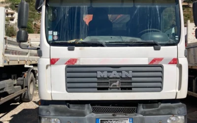 Camion 4×2 MAN TGM 18.280 GRUE